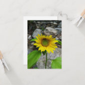 Sonnenblumenkarte Karte (Vorderseite/Rückseite Beispiel)