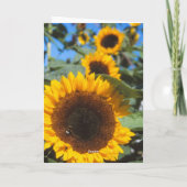 Sonnenblumenkarte Karte (Rückseite)