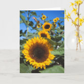 Sonnenblumenkarte Karte (Gelbe Blume)