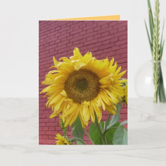 Sonnenblumenkarte Karte (Vorderseite)
