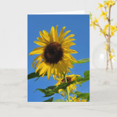 Sonnenblumenkarte Karte (Gelbe Blume)
