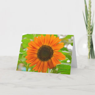 Sonnenblumenkarte Karte