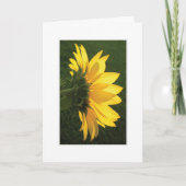 Sonnenblumenkarte Karte (Vorderseite)