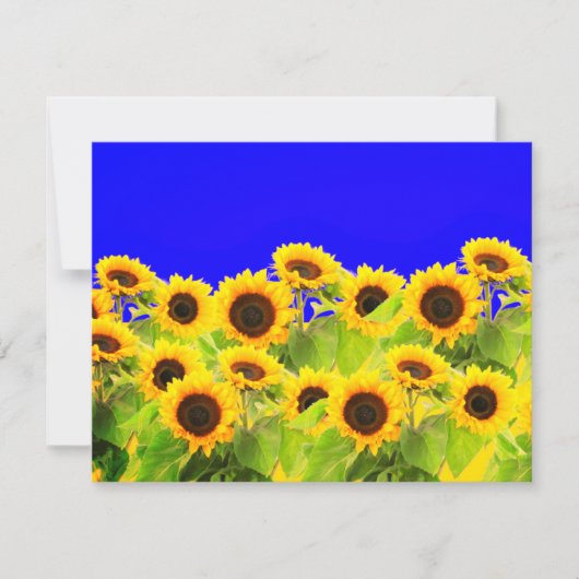 Sonnenblumenkarte Ukrainische Flaggenfarben - Frei RSVP Karte (Vorderseite)