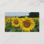 Sonnenblumenkarte Visitenkarte (Rückseite)