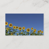 Sonnenblumenkarte Visitenkarte (Rückseite)
