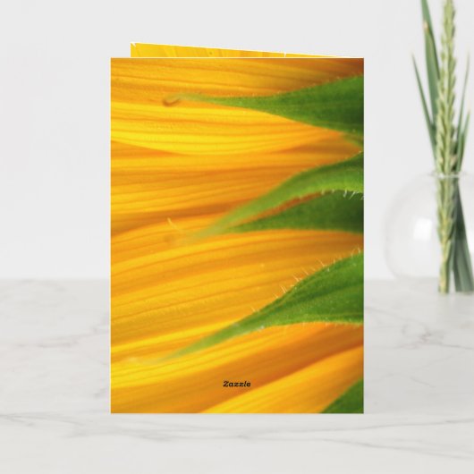 Sonnenblumenkarte wird bald gut karte (Rückseite)