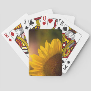 Sonnenblumenkarten Spielkarten