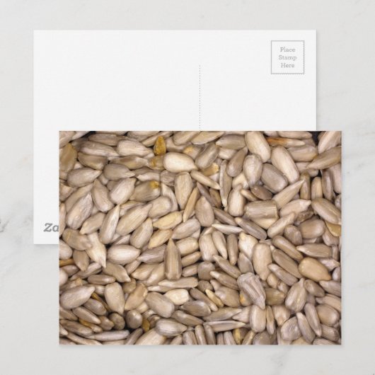 Sonnenblumenkerne Postkarte (Vorne/Hinten)