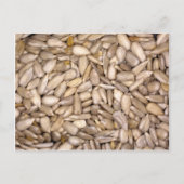 Sonnenblumenkerne Postkarte (Vorderseite)