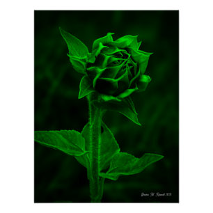 "Sonnenblumenknospe" Poster
