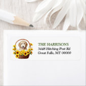 Sonnenblumenkorb Goodendoodle Welpenhund (Insitu)