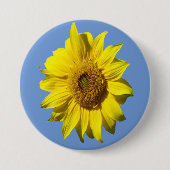 Sonnenblumenkruste. BG-Farbtaste Button (Vorderseite)