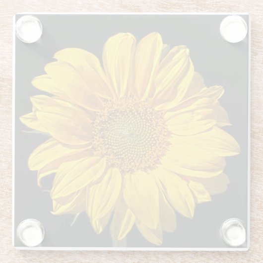 Sonnenblumenküste Glasuntersetzer (Rückseite)