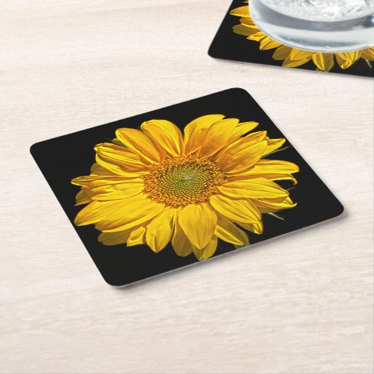 Sonnenblumenküste Rechteckiger Pappuntersetzer (angewinkelt)