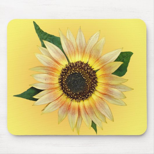 Sonnenblumenlicht Mousepad (Vorne)