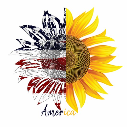 Sonnenblumenmagnet der amerikanischen Flagge Fotoskulptur Magnet (Vorne)