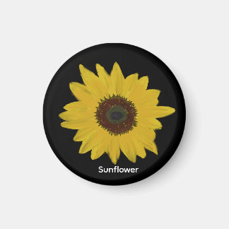 Sonnenblumenmagnet Magnet