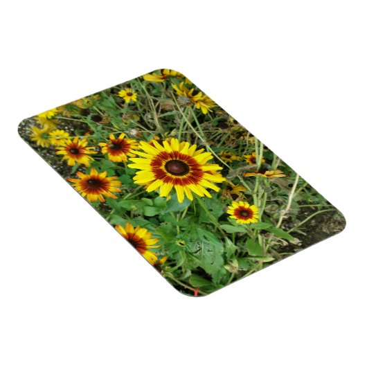 Sonnenblumenmagnet Magnet (Rechte Seite)