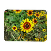 Sonnenblumenmagnet Magnet (Horizontal)