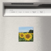 Sonnenblumenmagnet Magnet (In Situ (Geschirrspüler))