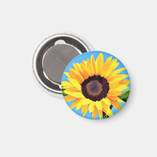 Sonnenblumenmagnet Magnet (Vorderseite/Rückseite)
