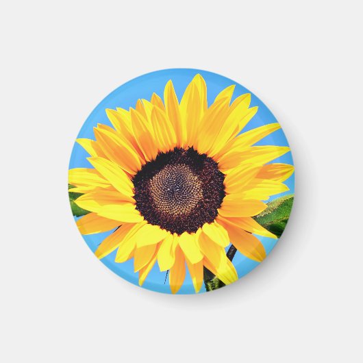 Sonnenblumenmagnet Magnet (Vorne)