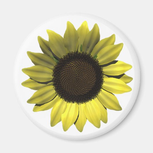 Sonnenblumenmagnet Magnet (Vorne)