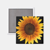 Sonnenblumenmagnet Magnet (Vorderseite/Rückseite)