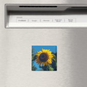 Sonnenblumenmagnet Magnet (In Situ (Geschirrspüler))