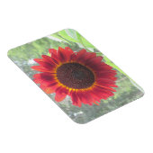 Sonnenblumenmagnet Magnet (Rechte Seite)
