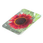 Sonnenblumenmagnet Magnet (Linke Seite)