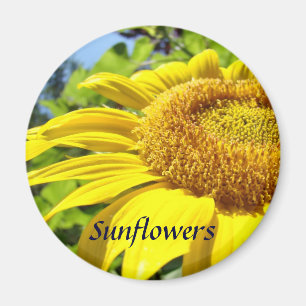 Sonnenblumenmagnet Sommer Blumen Sonnenblumenmagne Magnet