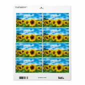 Sonnenblumenmalerei (Vorne)