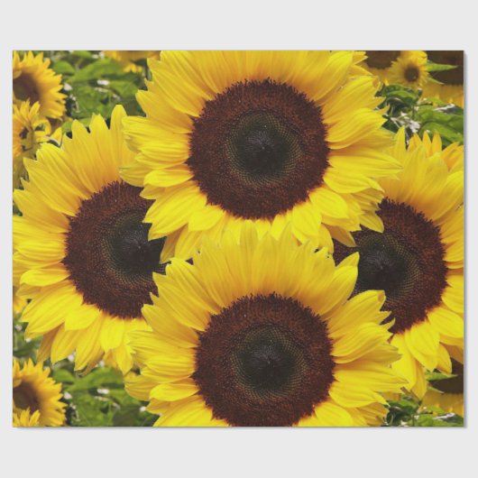 Sonnenblumenmatte Geschenkpapier (Flach)