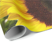 Sonnenblumenmatte Geschenkpapier (Rolleneckpunkt)