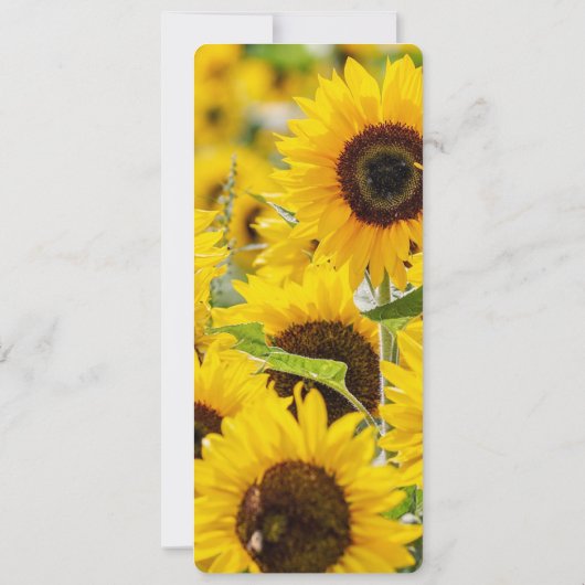 Sonnenblumenmenü Einladung (Rückseite)