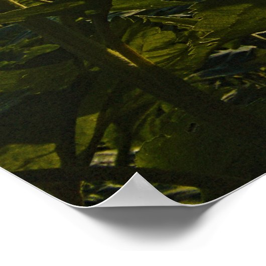 Sonnenblumenmorning Poster (Ecke)