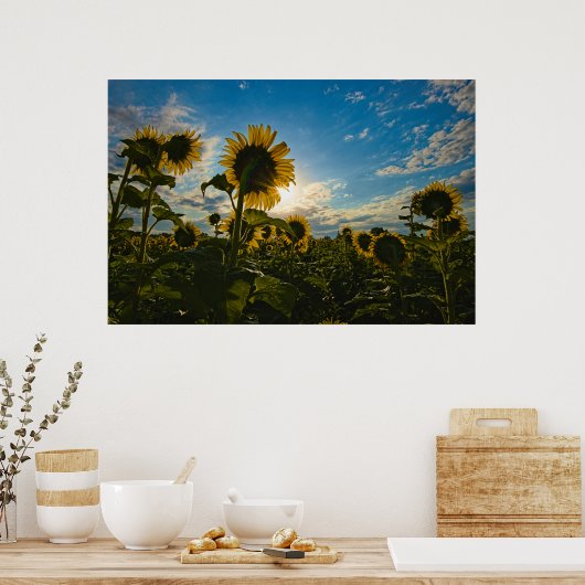 Sonnenblumenmorning Poster (Küche)