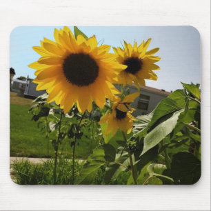 Sonnenblumenmousepad Mousepad