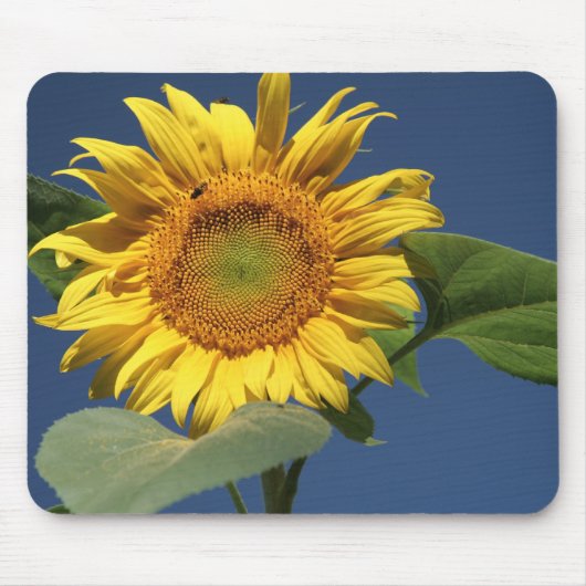 Sonnenblumenmousepad Mousepad (Vorne)