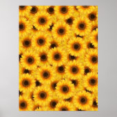 Sonnenblumenmuster, gelbe Schönheiten, Poster (Vorne)
