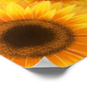 Sonnenblumenmuster, gelbe Schönheiten, Poster (Ecke)