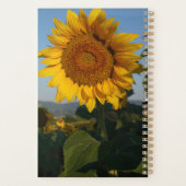 Sonnenblumenname Foto Planer (Rückseite)