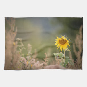 Sonnenblumennatur-Foto Geschirrtuch