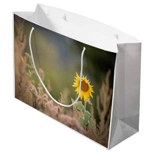 Sonnenblumennatur-Foto Große Geschenktüte (Rückseite Schrägansicht)