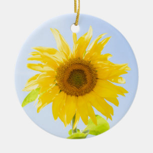 Sonnenblumennatur-Foto Keramik Ornament