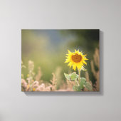 Sonnenblumennatur-Foto Leinwanddruck (Vorderseite)