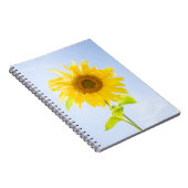 Sonnenblumennatur-Foto Notizblock (Rechte Seite)