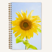 Sonnenblumennatur-Foto Notizblock (Vorderseite)